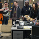 Image for article titled Andy Samberg speaks on Brooklyn Nine-Nine's uncertain path forward amid BLM protests
